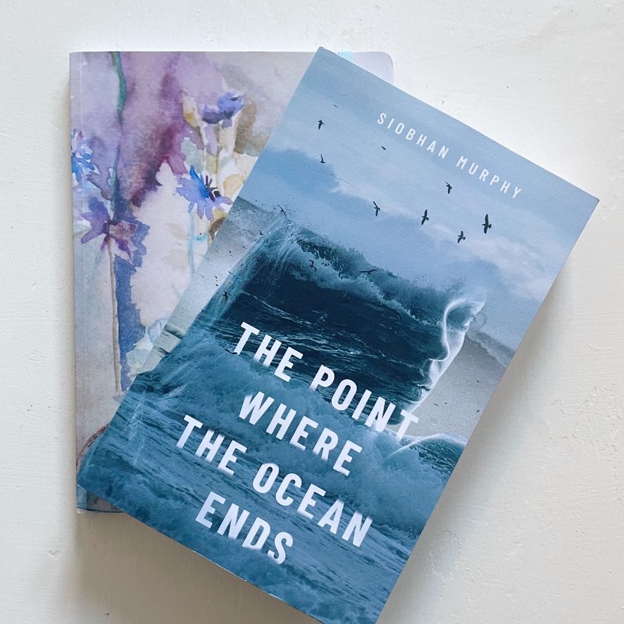 My Debut Novel